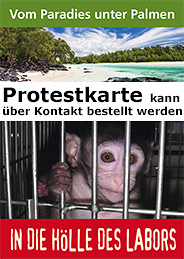 Protestkarte gegen den Affenhandel in Mauritius