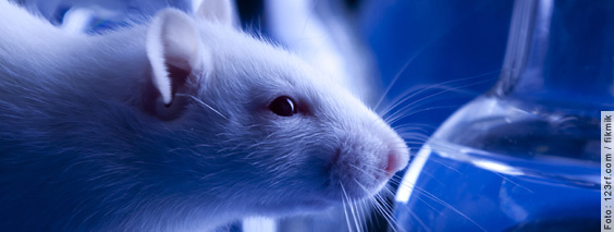 Wieso überhaupt noch Tierversuche und gleichwertige Alternativmethoden durchgeführt werden