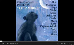 Video der Bambines (Makaken) aus dem Parco dell'Abatino