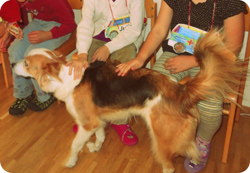 Kinder und Schulhund Sina geniessen die Streicheleinheiten