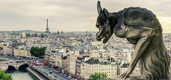 Verpflanzung von Tierorganen - Stellungnahme zur Xenotransplantation (Die Chimäre Gargoyle blickt von der Galerie der Kirche Notre-Dame über Paris)