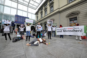 1. Juni 2013 - Spektakuläres Massensterben im Bahnhof Winterthur
